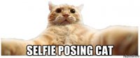  selfie posing cat