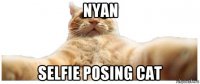 nyan selfie posing cat