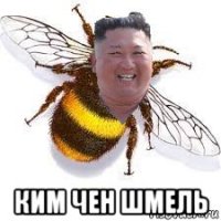  ким чен шмель