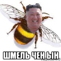  шмель чен ын