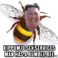  kippumjo sex services man has a bumble bee