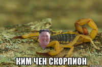  ким чен скорпион