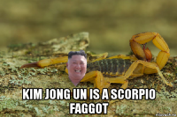  kim jong un is a scorpio faggot
