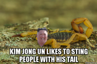  kim jong un likes to sting people with his tail
