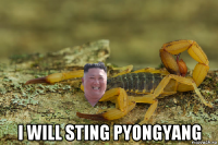  i will sting pyongyang