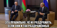  это правильно. чё их раздражать, если они и так раздражённые