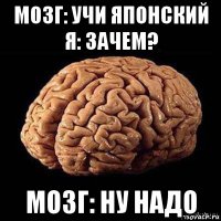 мозг: учи японский я: зачем? мозг: ну надо