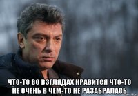  что-то во взглядах нравится что-то не очень в чем-то не разабралась