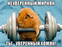 неуверенный мирняк ты - уверенный хомяк!
