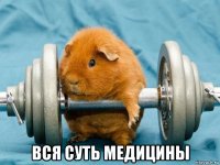  вся суть медицины