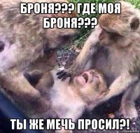 броня??? где моя броня??? ты же мечь просил?!