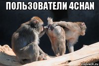 пользователи 4chan 