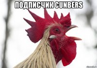 подписчик cunbers 