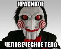 красивое человеческое тело