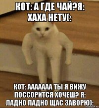 кот: а где чай?я: хаха нету(: кот: ааааааа ты я вижу поссорится хочеш? я: ладно ладно щас заворю):