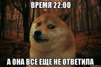 время 22:00 а она все еще не ответила