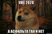 уже 2020 а асфальта так и нет