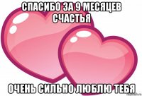 спасибо за 9 месяцев счастья очень сильно люблю тебя