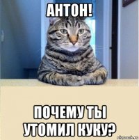 антон! почему ты утомил куку?