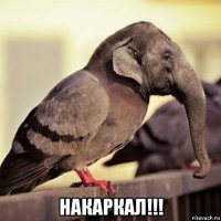  накаркал!!!