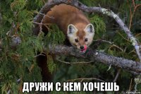  дружи с кем хочешь