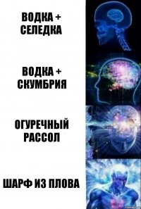 Водка + селедка Водка + скумбрия Огуречный рассол Шарф из плова