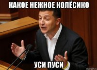какое нежное колёсико уси пуси