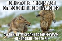 волк:это ты мне в бравл старсе слил 10000 кубасов? суслик: нет!!! суслик потом:фууууух он не понял что это я(;