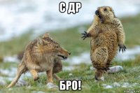 с др бро!