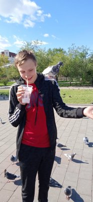 Создать мем Голубок