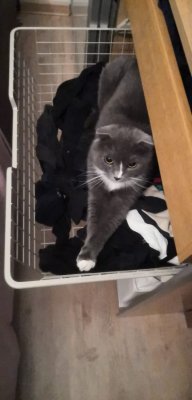 Создать мем Павел Котов