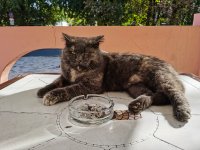 Создать мем Покури пока