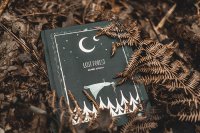 Создать мем Сожги книгу - спаси лес