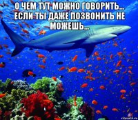 о чем тут можно говорить... если ты даже позвонить не можешь... 