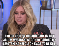  я себя иногда спрашиваю, ну вот зачем муравью столько лапок? и я смотрю на него, а он куда-то бежит!