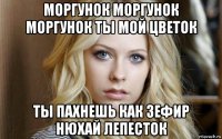 моргунок моргунок моргунок ты мой цветок ты пахнешь как зефир нюхай лепесток