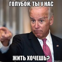 голубой, ты у нас жить хочешь?