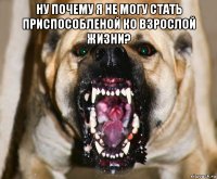 ну почему я не могу стать приспособленой ко взрослой жизни? 