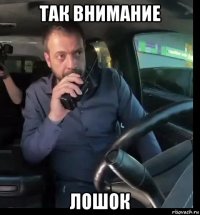так внимание лошок