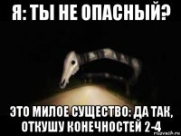 я: ты не опасный? это милое существо: да так, откушу конечностей 2-4