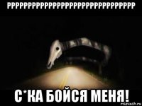 ррррррррррррррррррррррррррррррр с*ка бойся меня!