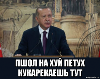  пшол на хуй петух кукарекаешь тут