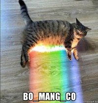  bo_mang_co