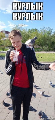 курлык курлык 