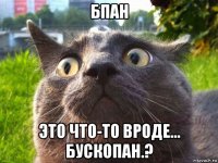 бпан это что-то вроде... бускопан.?
