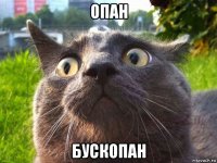 опан бускопан