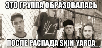 это группа образовалась после распада skin yarda