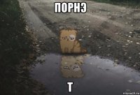 порнэ т