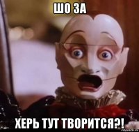 шо за херь тут творится?!