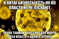 в китае бизнесы есть но во власть их не пускают точно также и в россии едра много а вся власть у одного путина